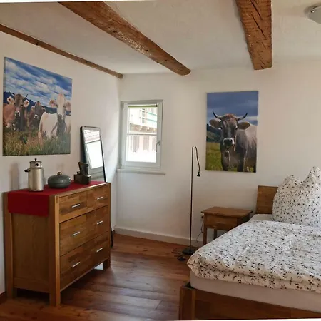 Mendlers Ferienwohnung Wangen im Allgäu Exterior foto